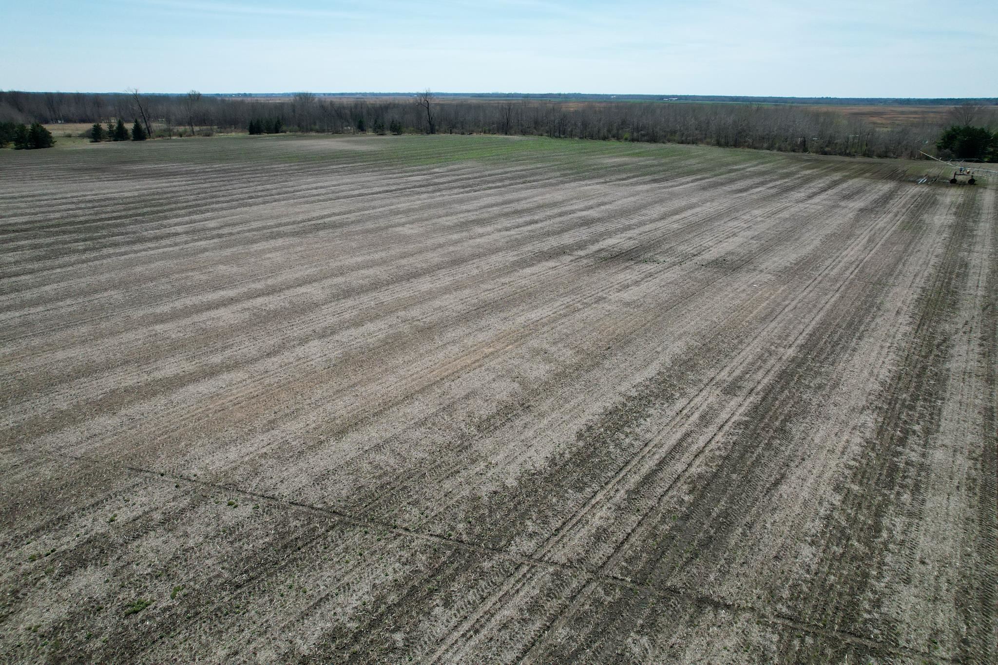 0 Cty Rd W Bancroft, WI 54921 - Photo 14 of 46