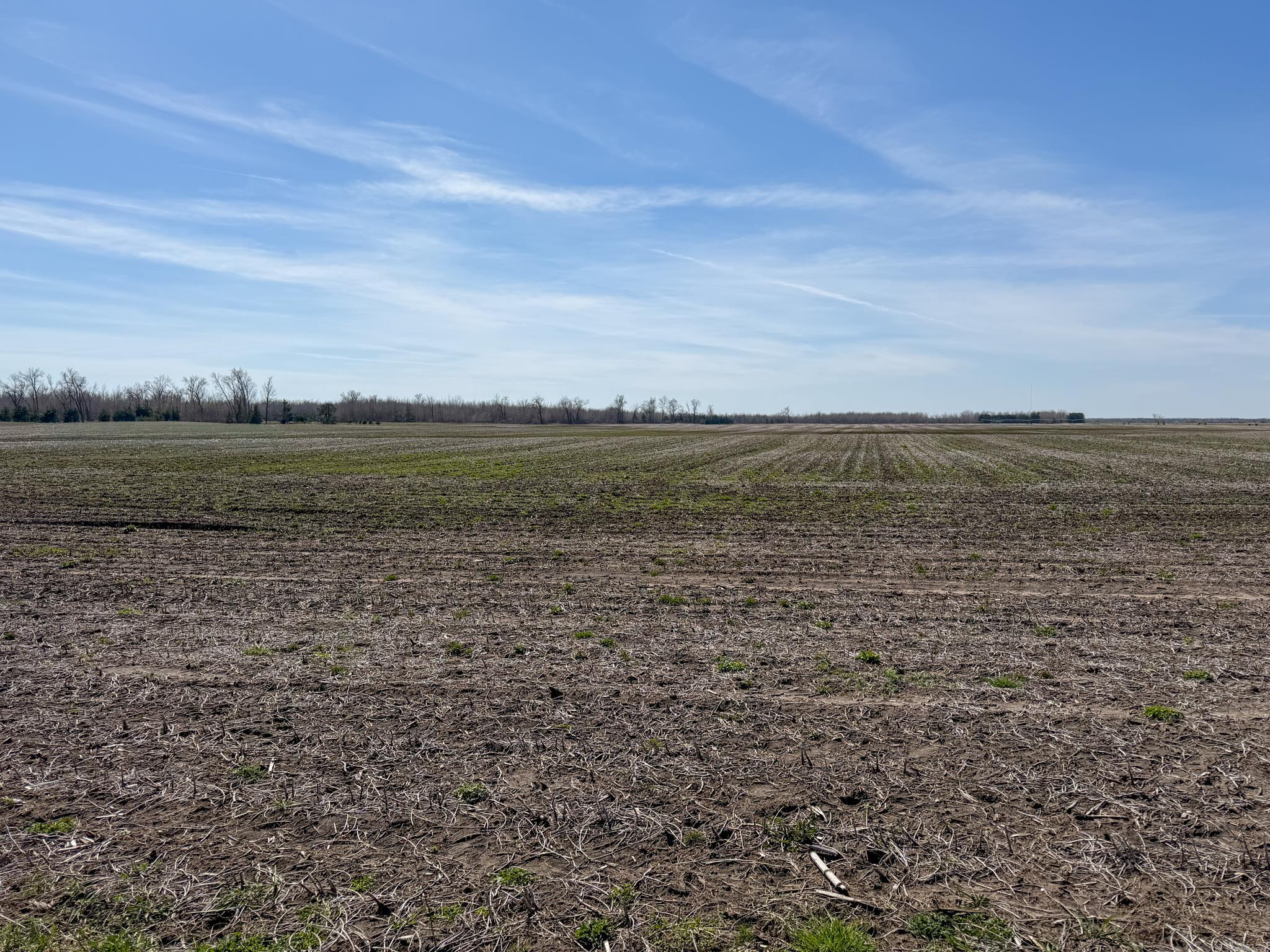 0 Cty Rd W Bancroft, WI 54921 - Photo 21 of 46