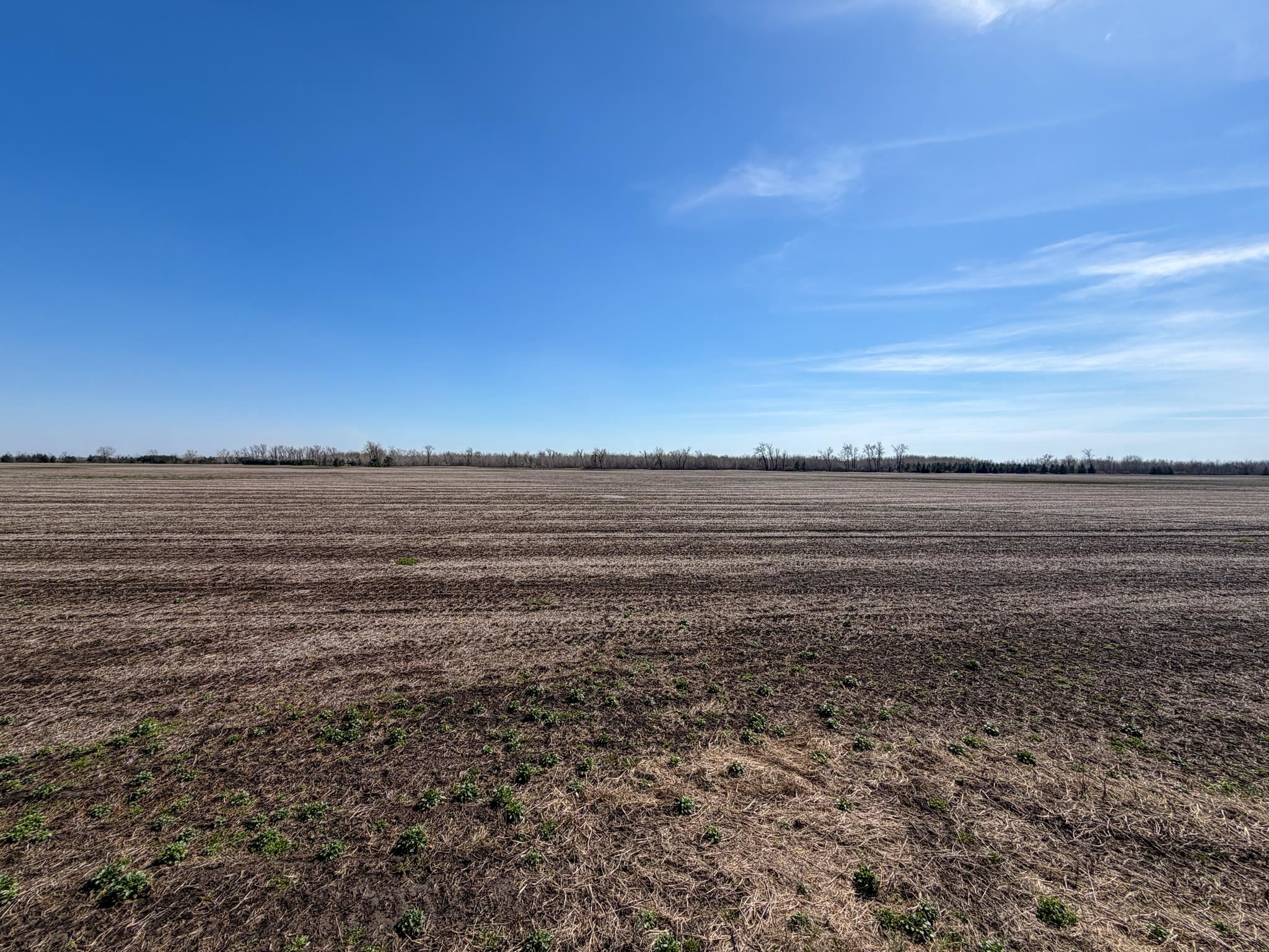 0 Cty Rd W Bancroft, WI 54921 - Photo 36 of 46