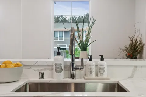 a view of kitchen with a sink and a potted plant