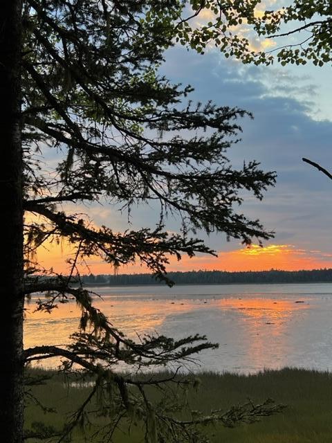 117 Putnam Drive Harrington, ME 04643 - Photo 11 of 37 IMG_2628