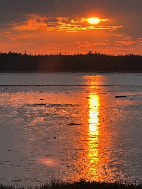 117 Putnam Drive Harrington, ME 04643 - Photo 12 of 37 IMG_2637