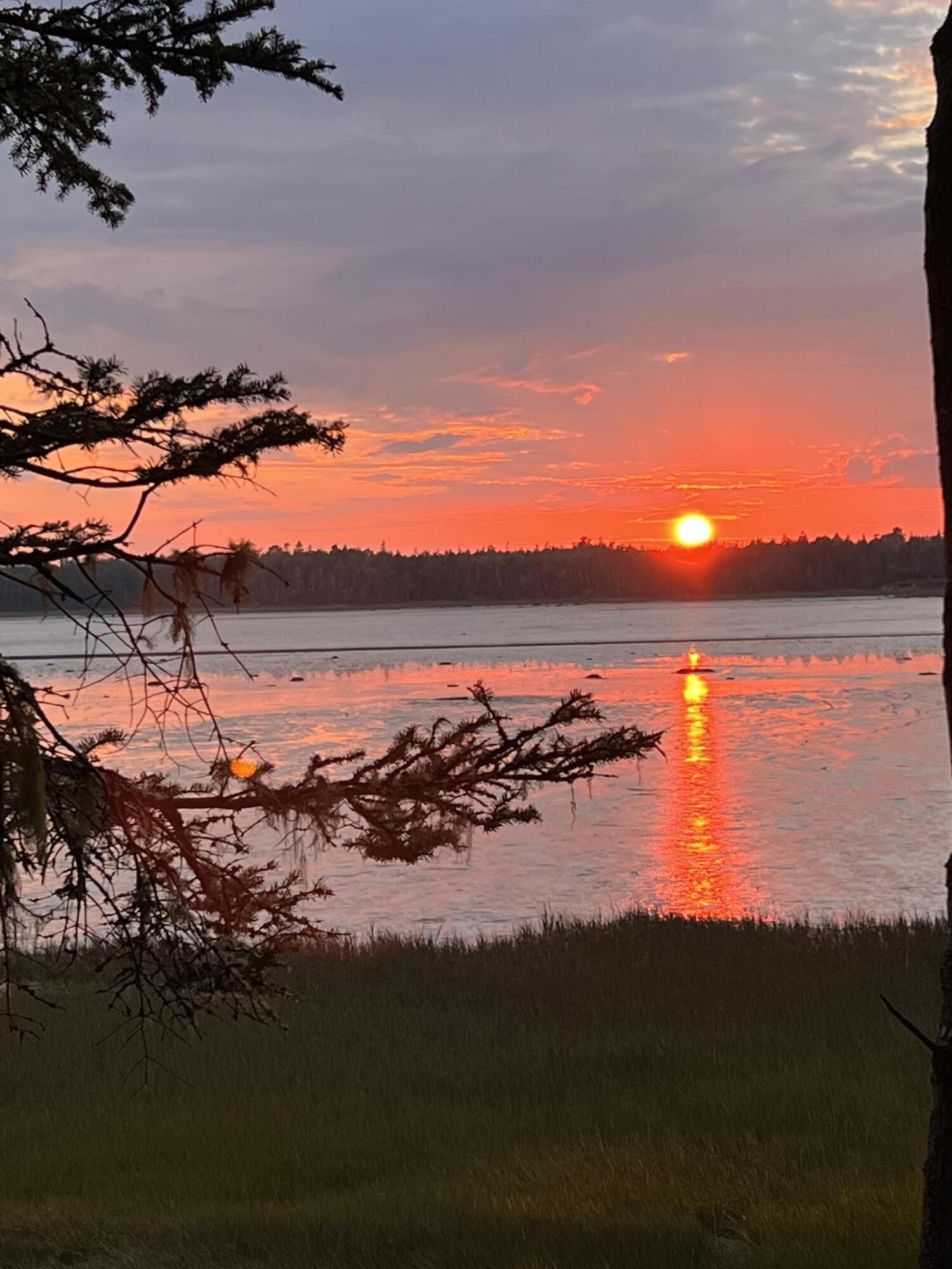 117 Putnam Drive Harrington, ME 04643 - Photo 13 of 37 IMG_2697