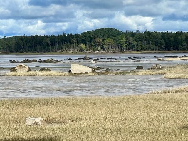 117 Putnam Drive Harrington, ME 04643 - Photo 14 of 37 IMG_2943