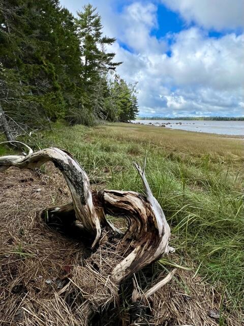 117 Putnam Drive Harrington, ME 04643 - Photo 15 of 37 IMG_2946