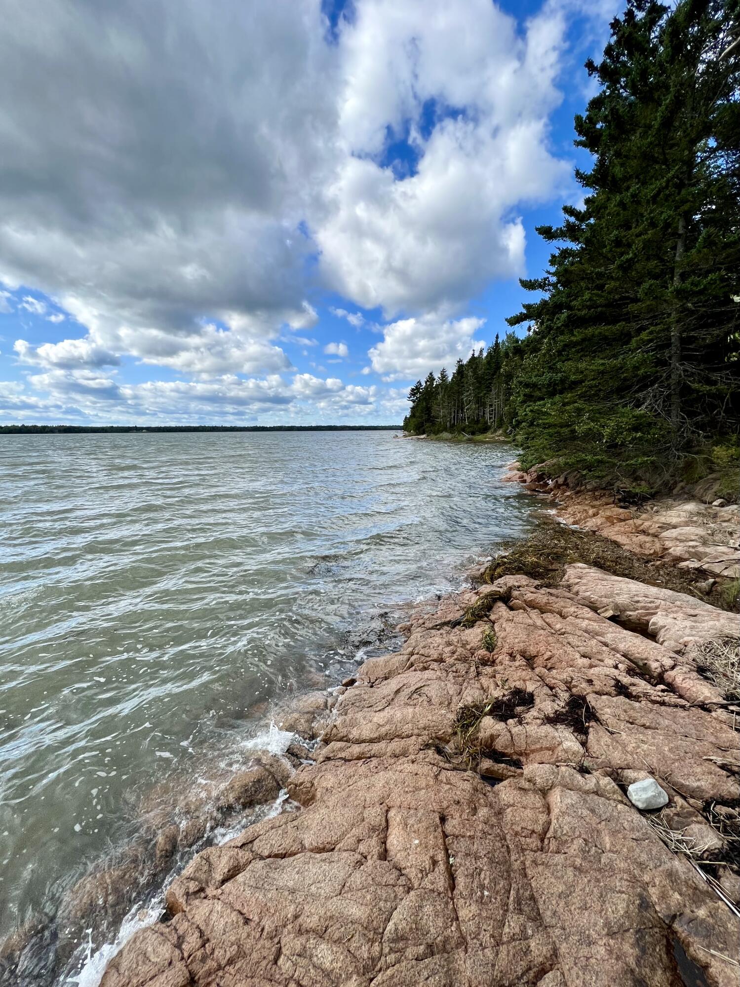 117 Putnam Drive Harrington, ME 04643 - Photo 18 of 37 IMG_3033