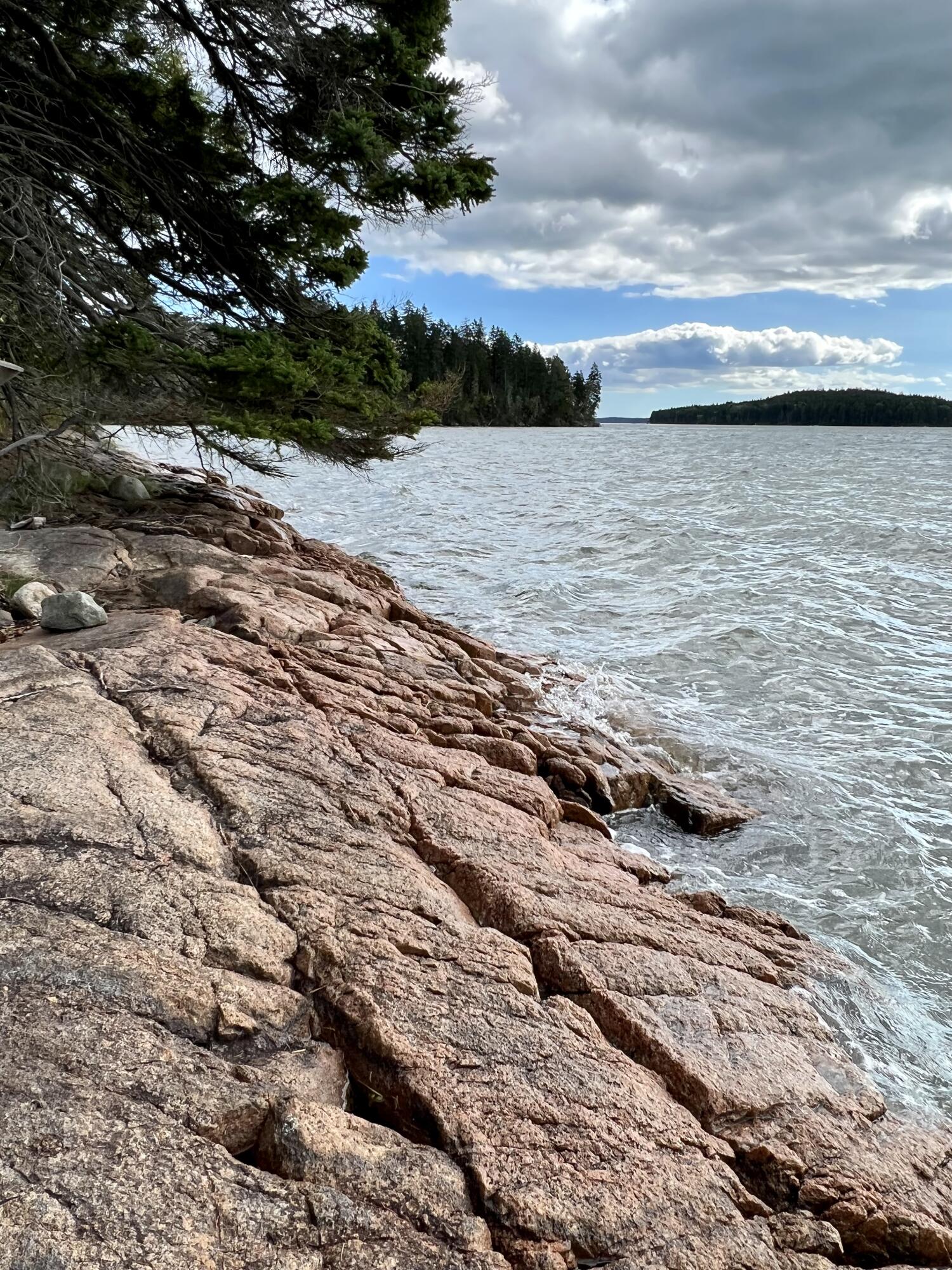 117 Putnam Drive Harrington, ME 04643 - Photo 19 of 37 IMG_3040