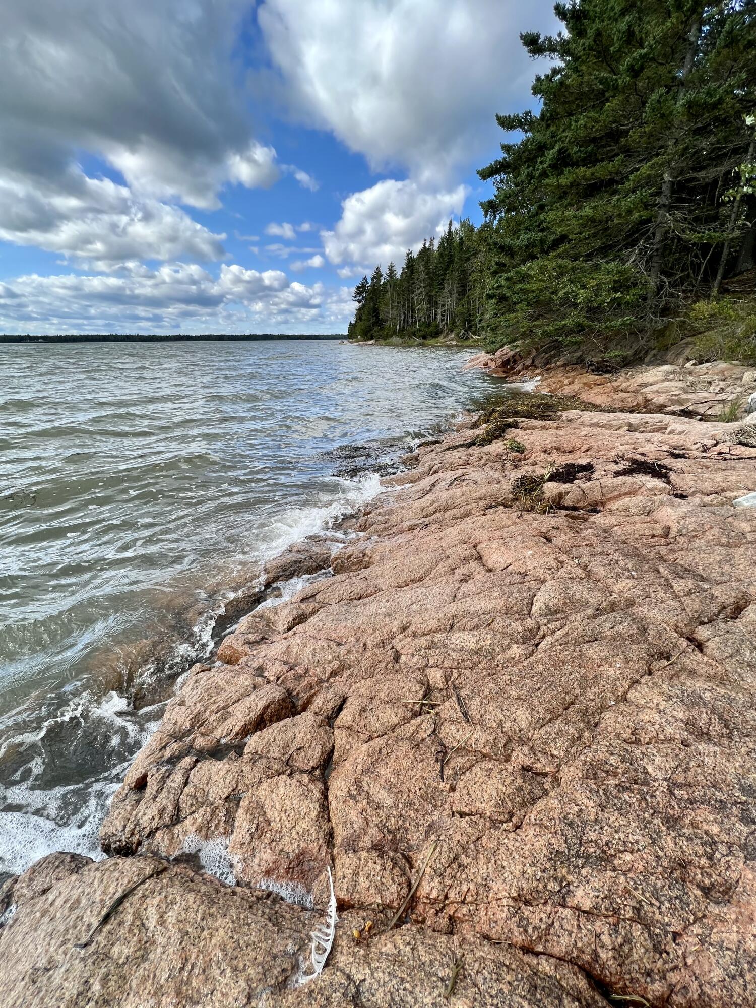 117 Putnam Drive Harrington, ME 04643 - Photo 20 of 37 IMG_3042