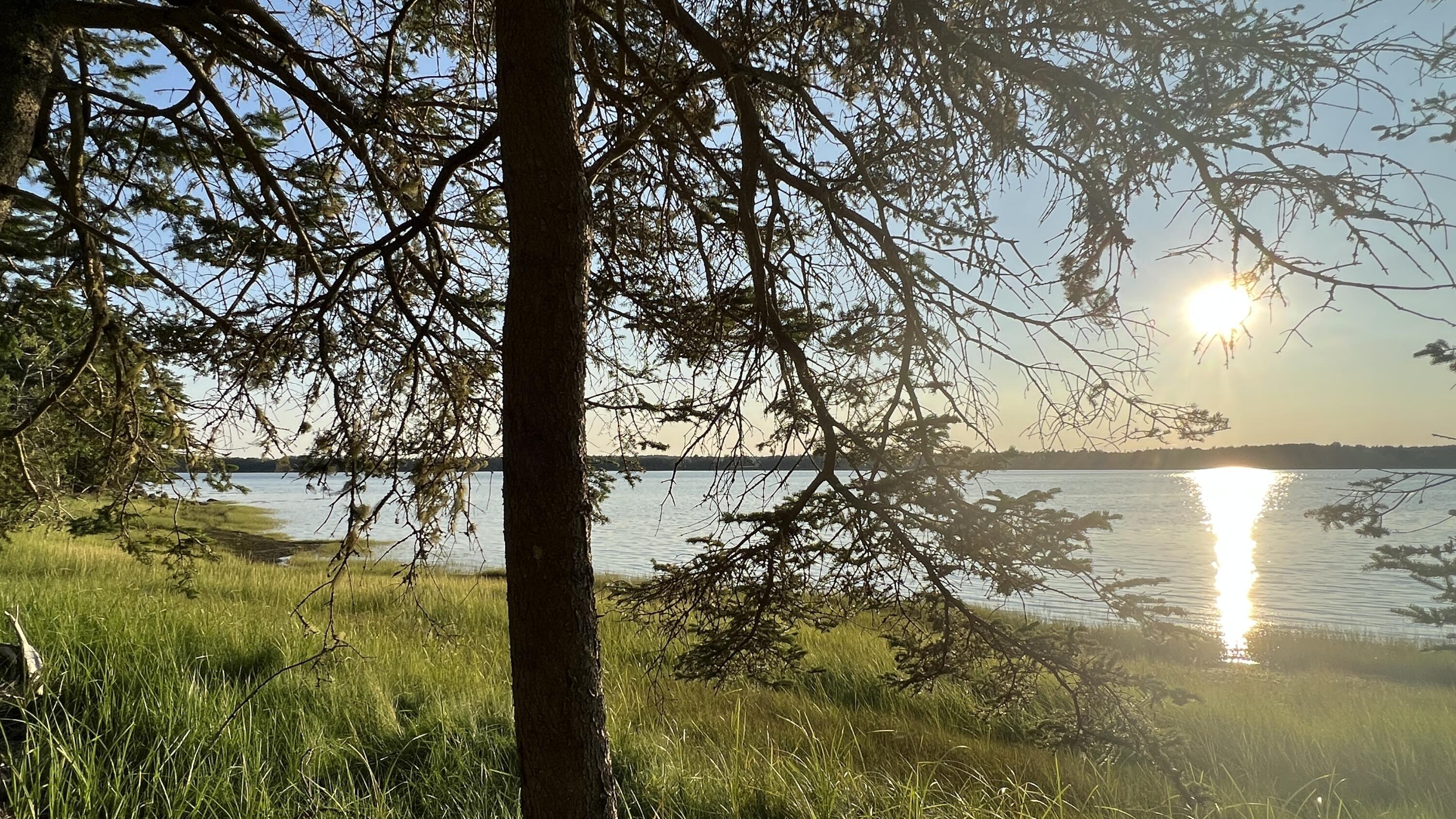 117 Putnam Drive Harrington, ME 04643 - Photo 22 of 37 40DF8EF7-F8E0-452F-A192-F6A541D7B566