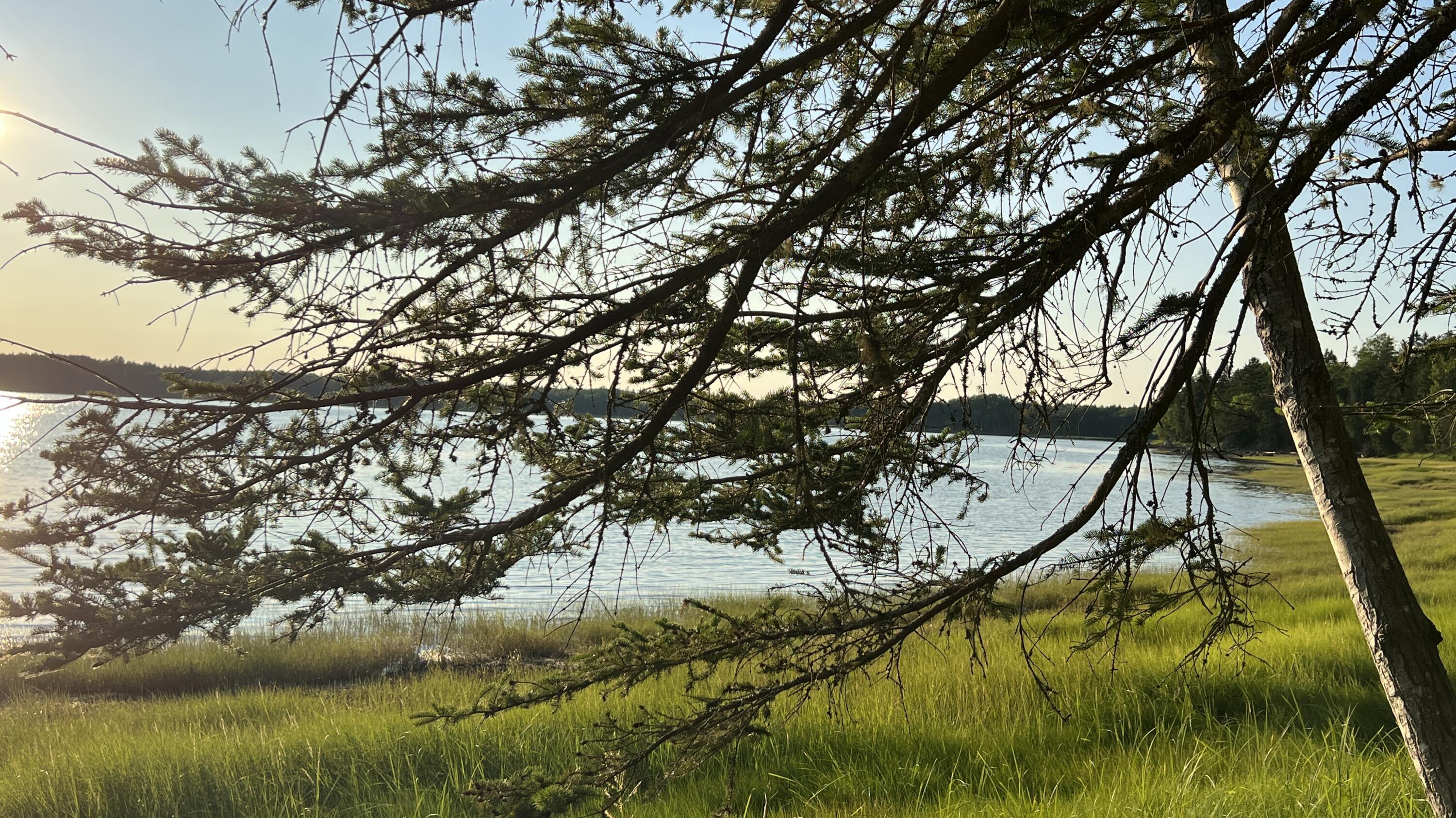 117 Putnam Drive Harrington, ME 04643 - Photo 23 of 37 5F988E4B-6703-4A4C-A7B6-249931C2F12E