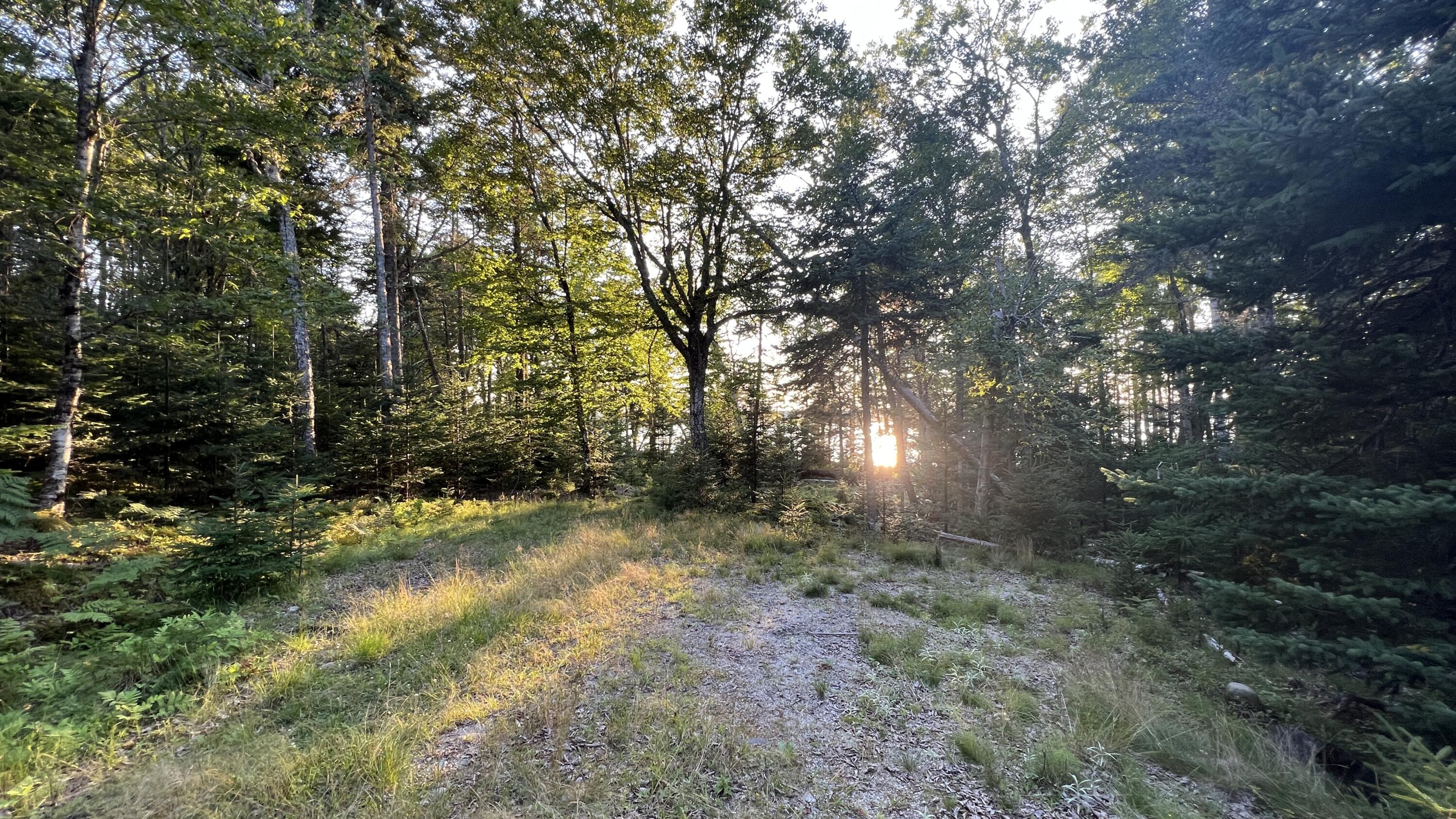 117 Putnam Drive Harrington, ME 04643 - Photo 24 of 37 533DBEAD-DD24-40E5-975A-3C369C2E5BD6