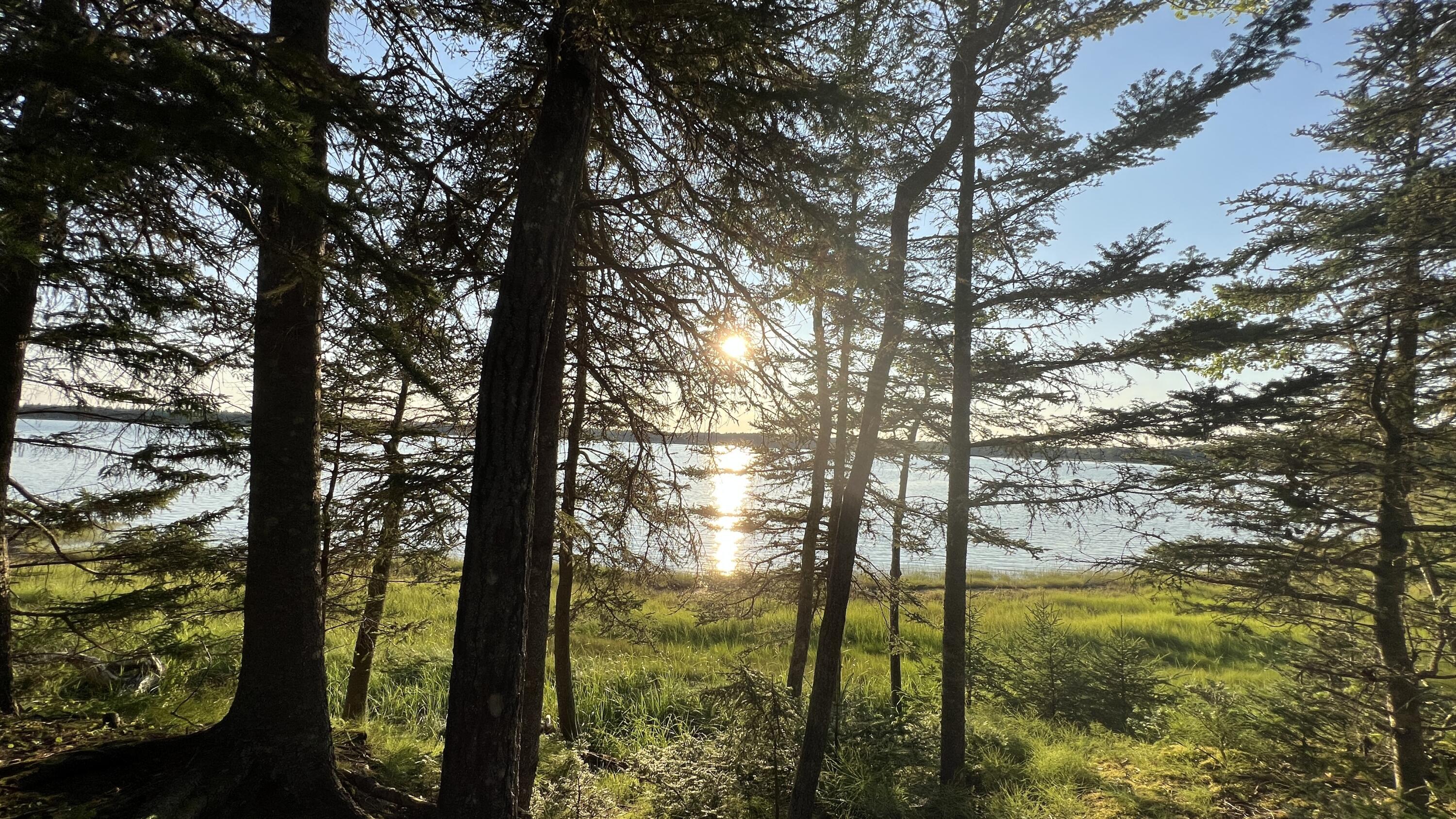 117 Putnam Drive Harrington, ME 04643 - Photo 25 of 37 47CE62E9-294B-4C81-ADBF-6B972E06074B