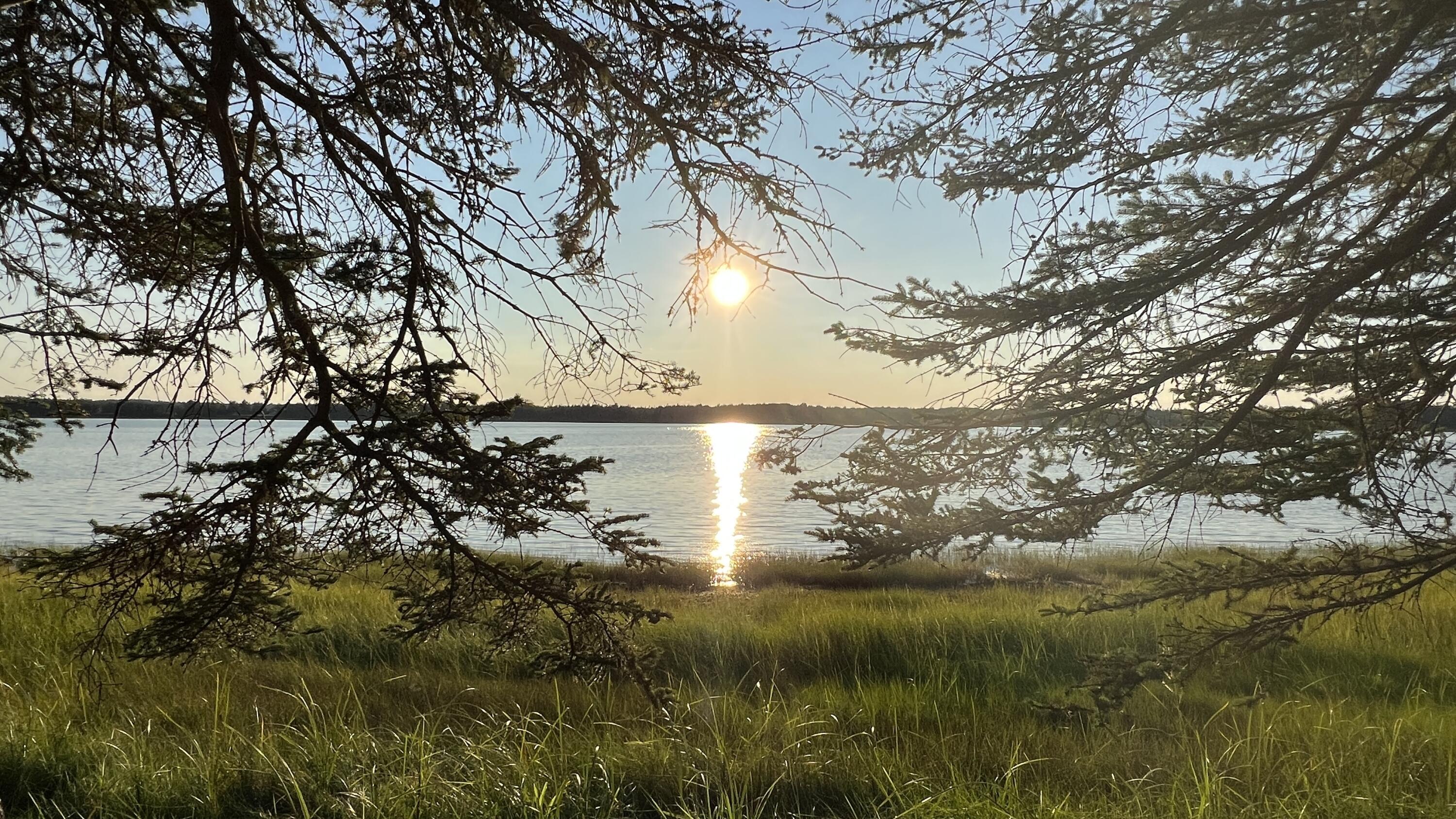 117 Putnam Drive Harrington, ME 04643 - Photo 3 of 37 1300AD75-A74C-4E2A-9376-139C02862BFB