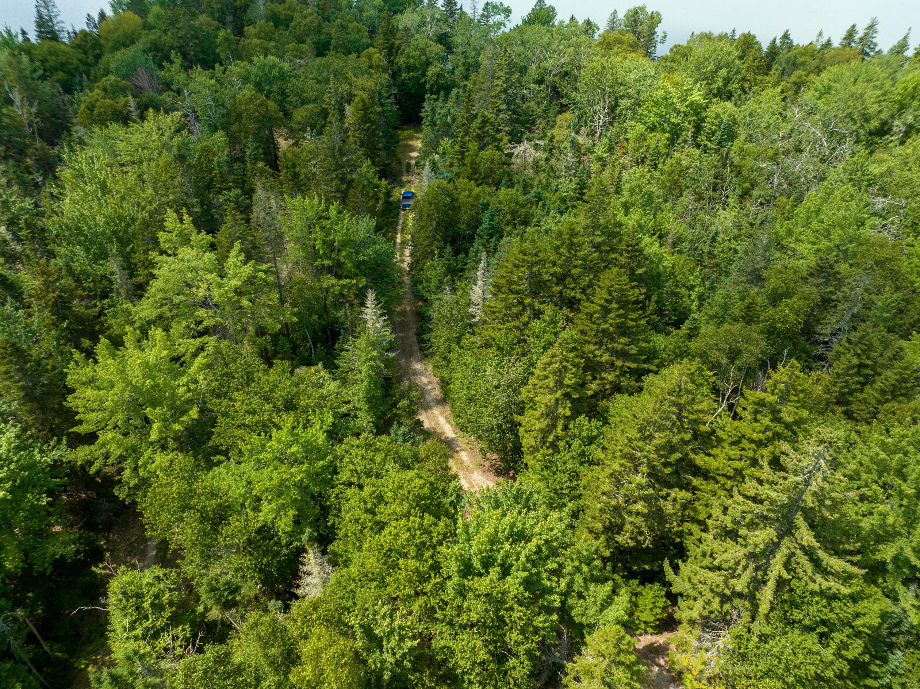 117 Putnam Drive Harrington, ME 04643 - Photo 35 of 37 117 Putnam Drive, Harrington (26 of 39)