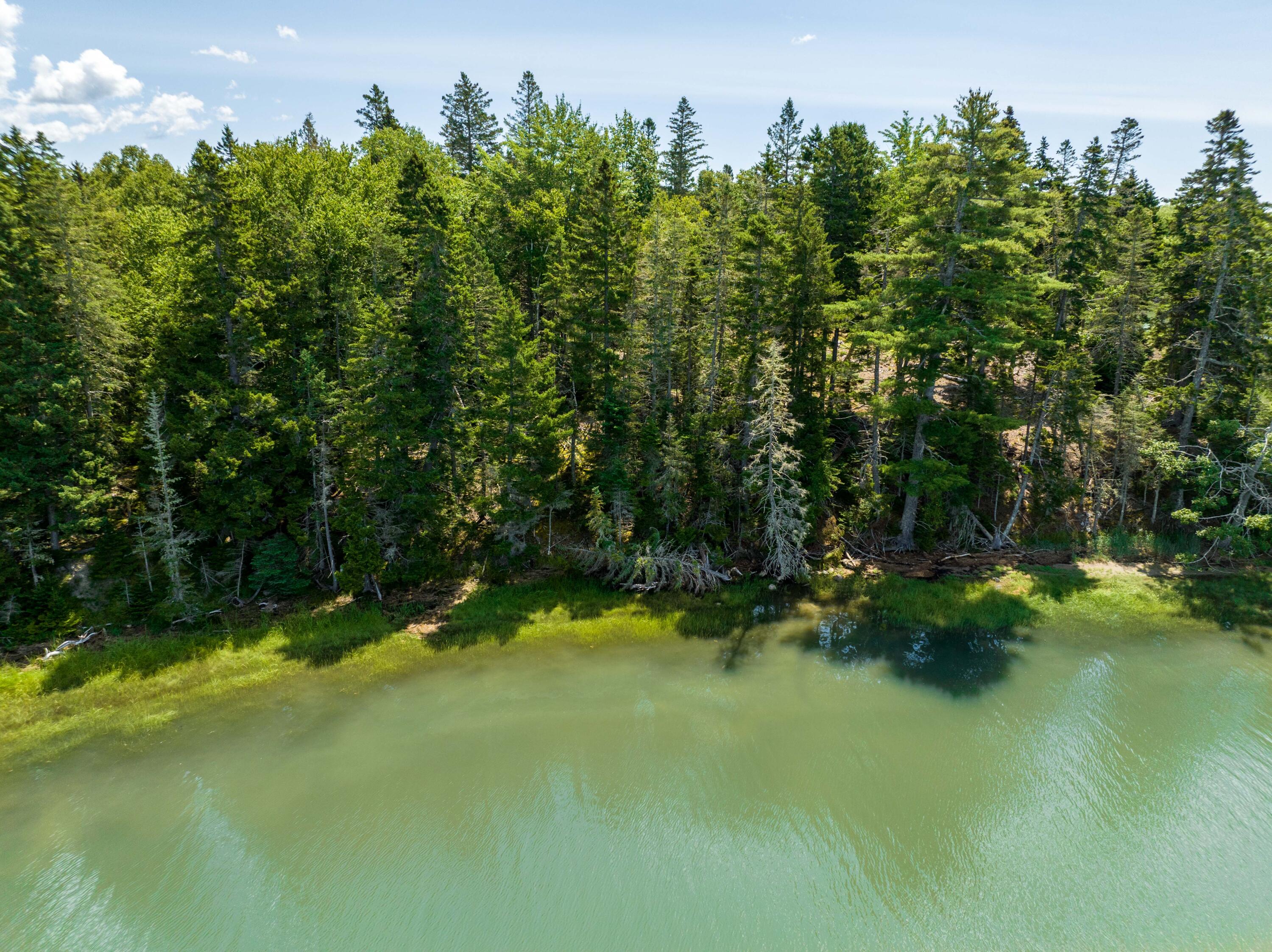 117 Putnam Drive Harrington, ME 04643 - Photo 7 of 37 117 Putnam Drive, Harrington (4 of 39)