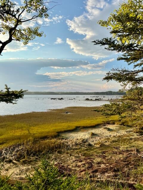 117 Putnam Drive Harrington, ME 04643 - Photo 8 of 37 IMG_2539