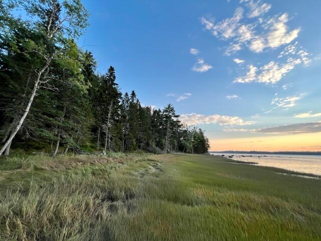 117 Putnam Drive Harrington, ME 04643 - Photo 9 of 37 IMG_2596