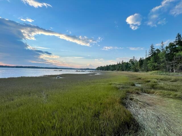 117 Putnam Drive Harrington, ME 04643 - Photo 10 of 37 IMG_2599