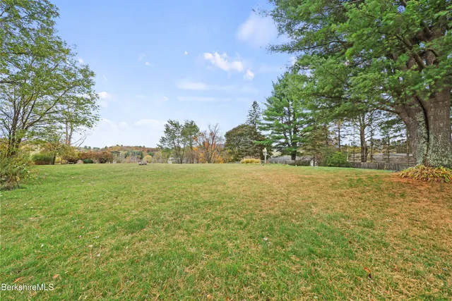 a view of yard with green space