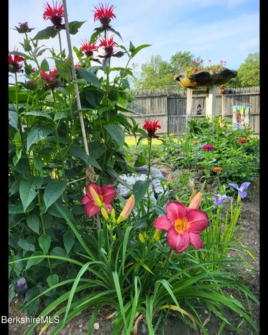 a flower plants in front of a house
