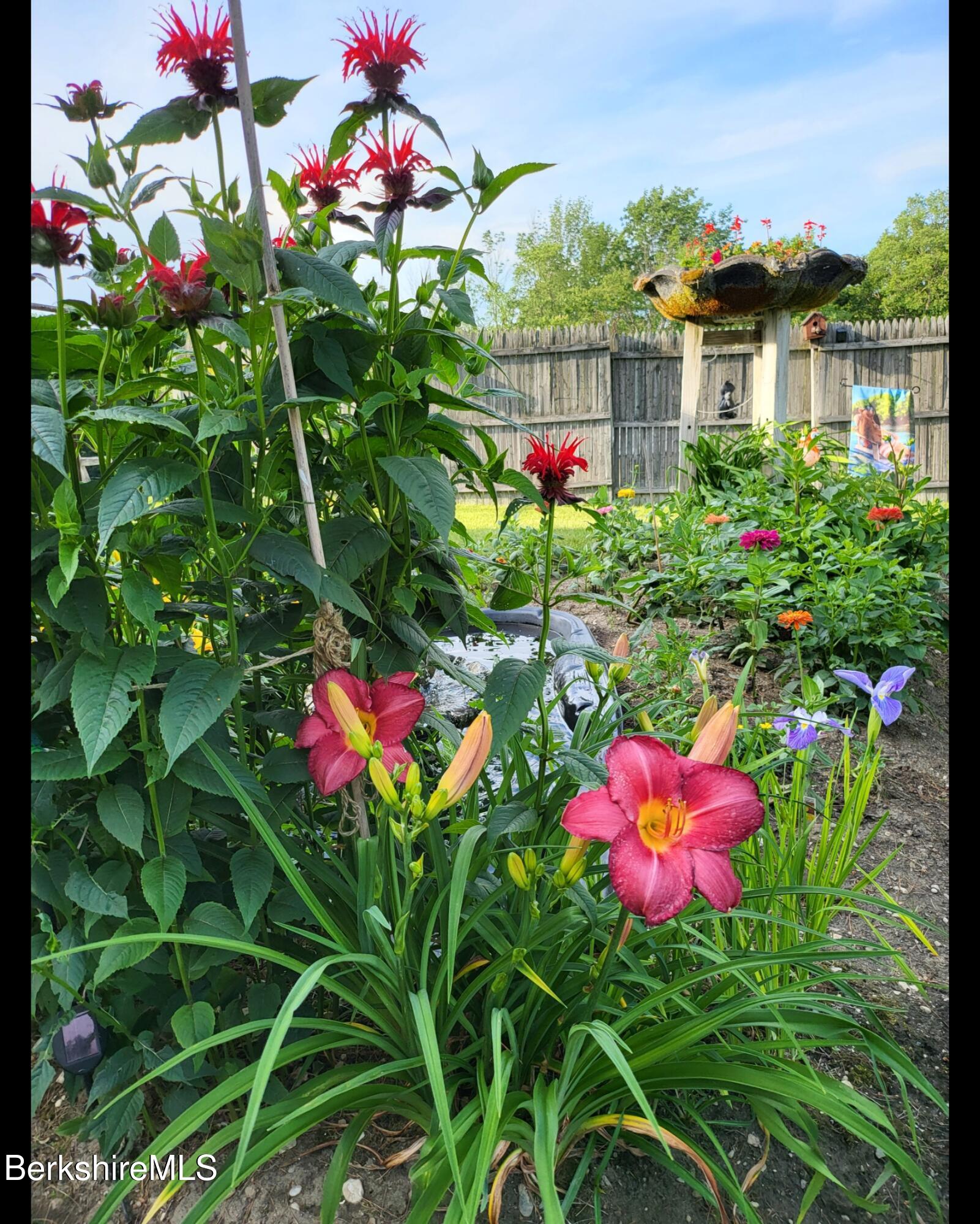 8 Samson Avenue Pittsfield, MA 01201 - Photo 33 of 55 a flower plants in front of a house