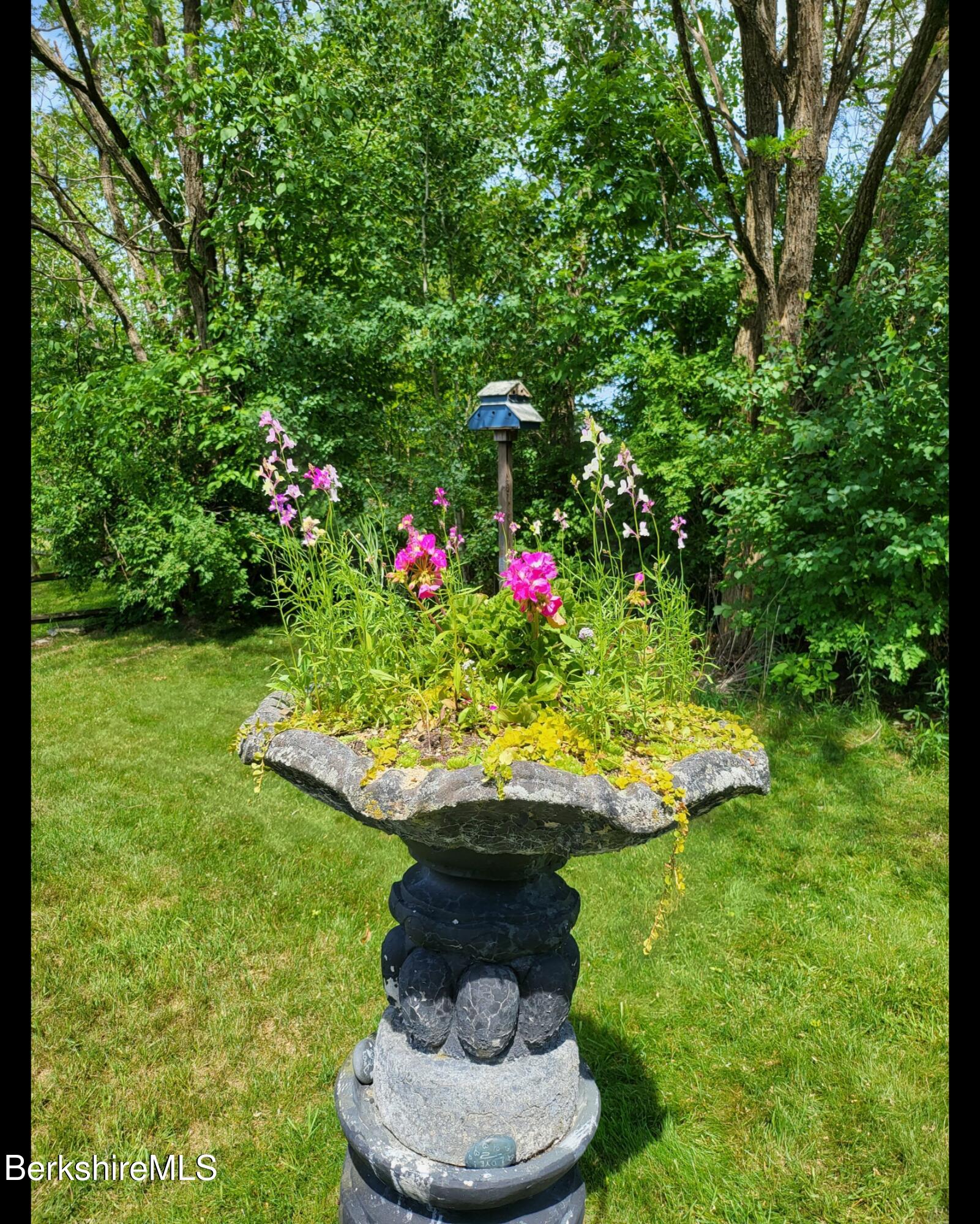 8 Samson Avenue Pittsfield, MA 01201 - Photo 40 of 55 a view of a garden with a fountain