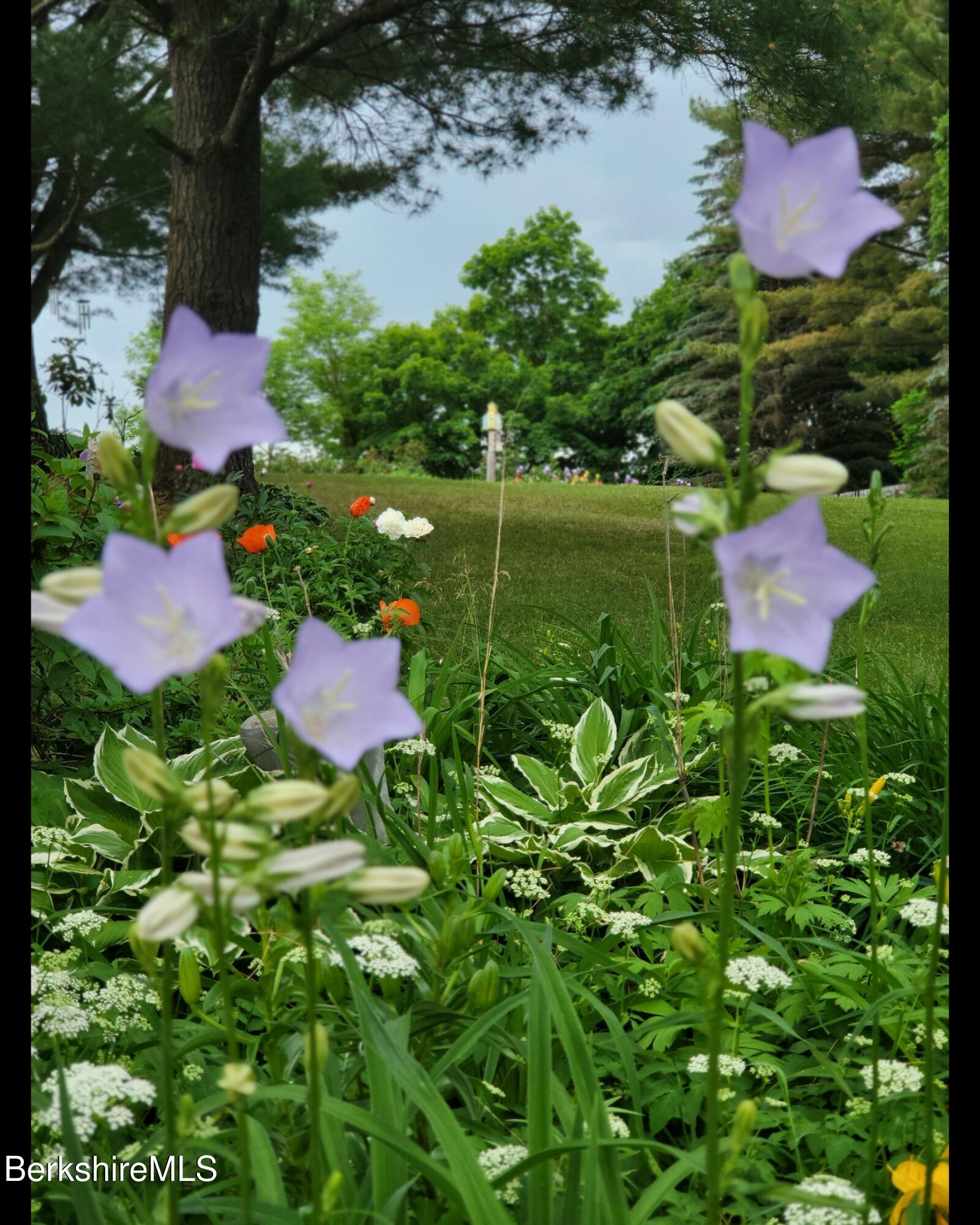 8 Samson Avenue Pittsfield, MA 01201 - Photo 43 of 55 a backyard of a house with lots of green space and fountain