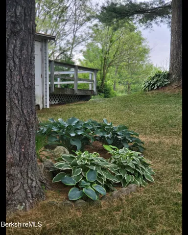 a view of a garden with a tree