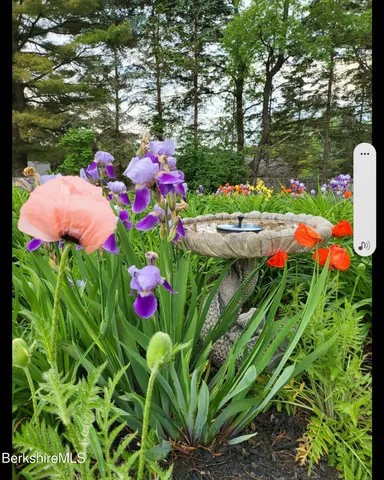 a view of a floor with plants
