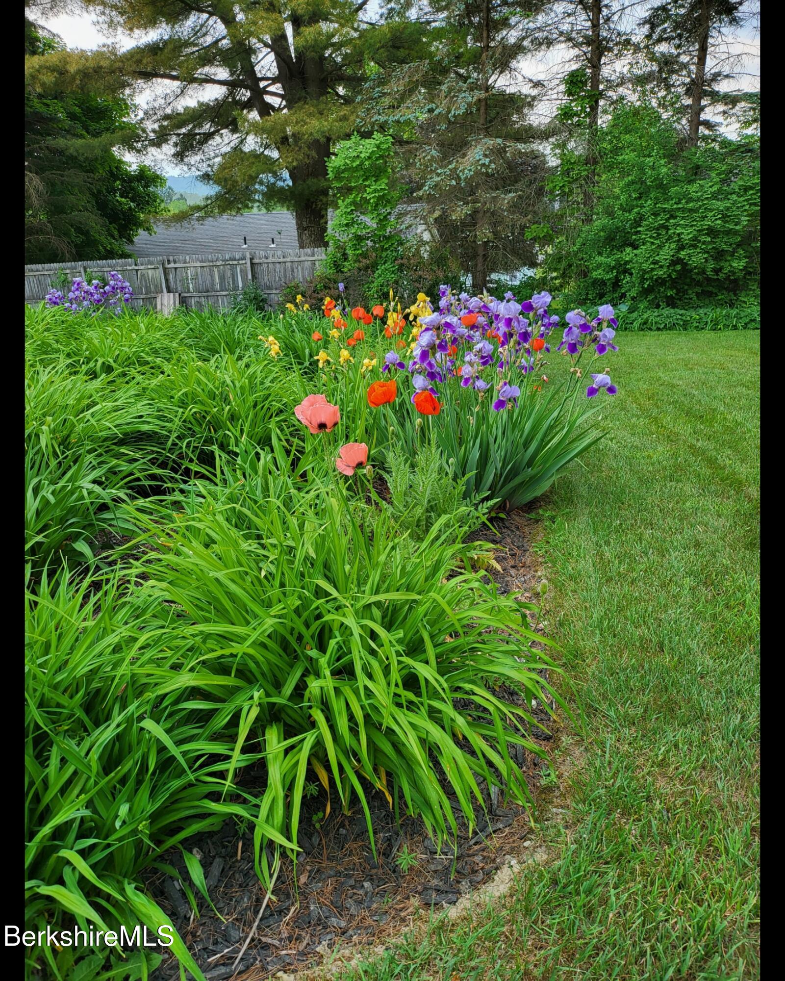 8 Samson Avenue Pittsfield, MA 01201 - Photo 47 of 55 Screenshot_20251029_154330_Gallery