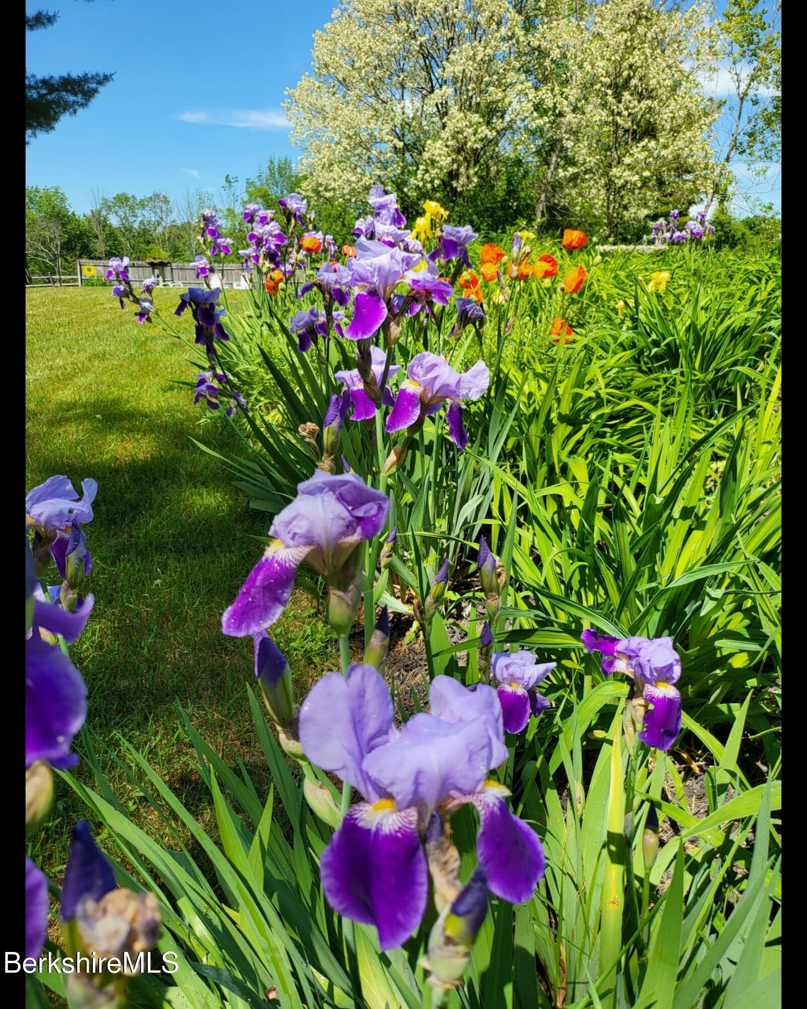 8 Samson Avenue Pittsfield, MA 01201 - Photo 48 of 55 Screenshot_20251029_154419_Gallery