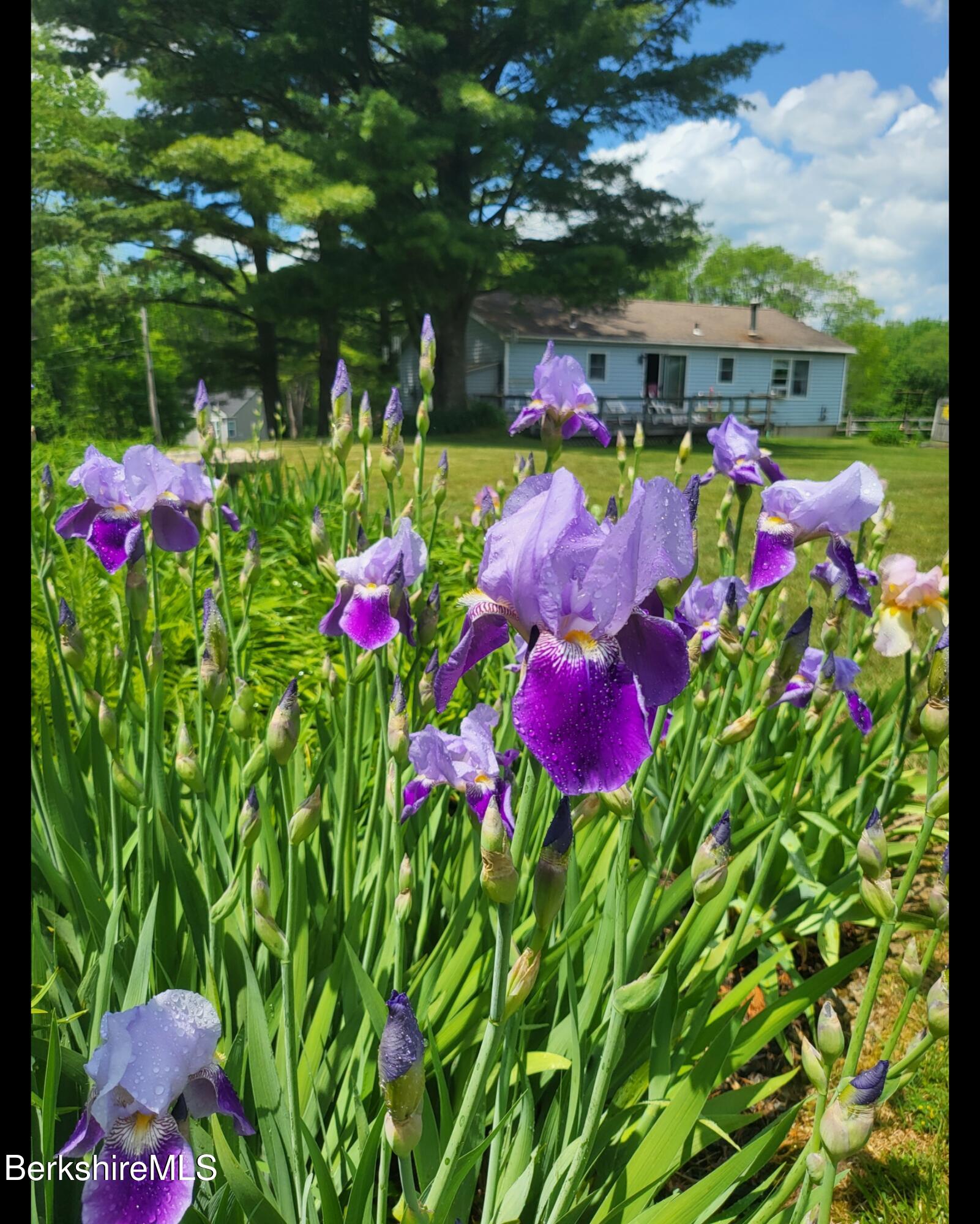 8 Samson Avenue Pittsfield, MA 01201 - Photo 50 of 55 Screenshot_20251029_154555_Gallery