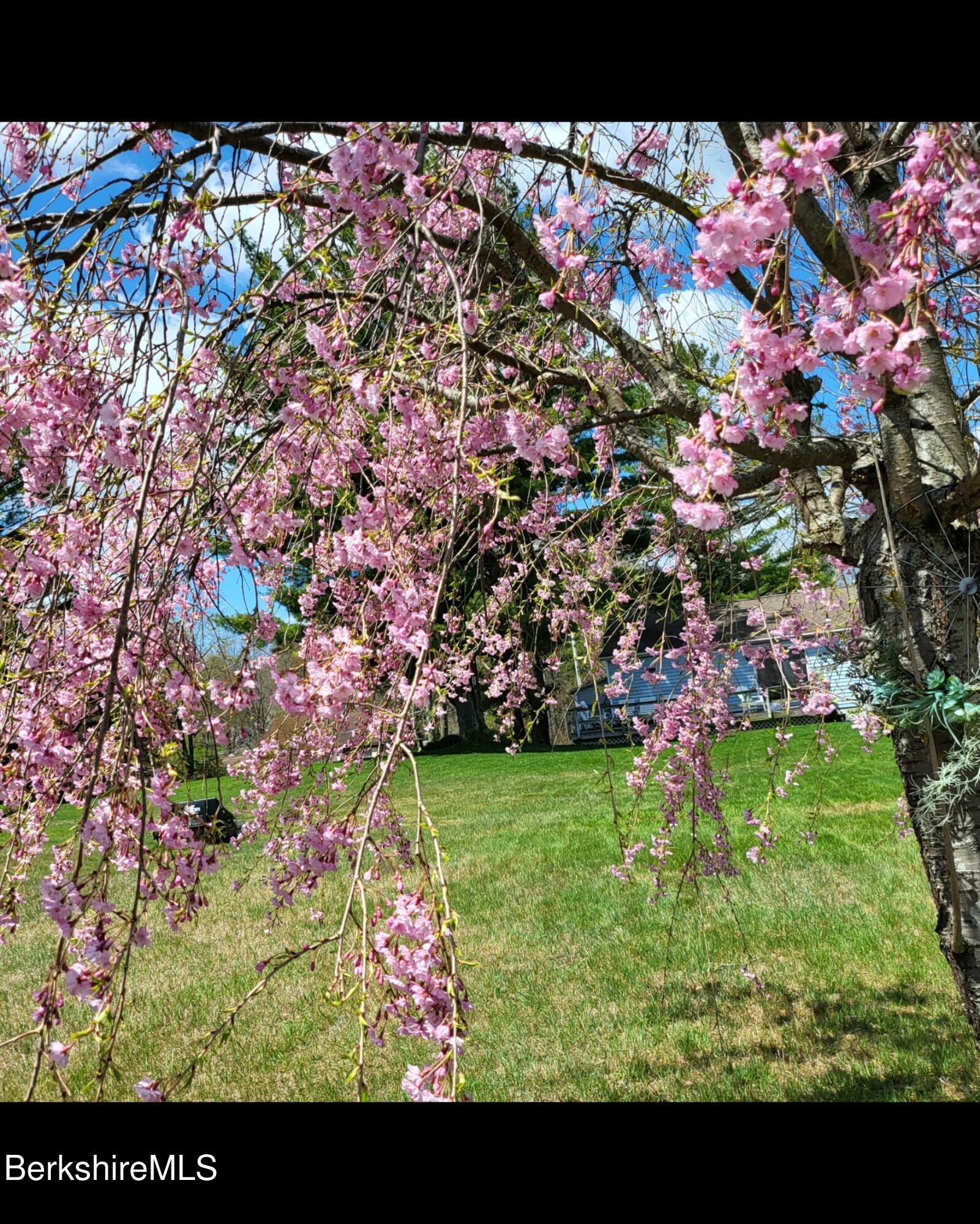 8 Samson Avenue Pittsfield, MA 01201 - Photo 51 of 55 Screenshot_20251029_154810_Gallery