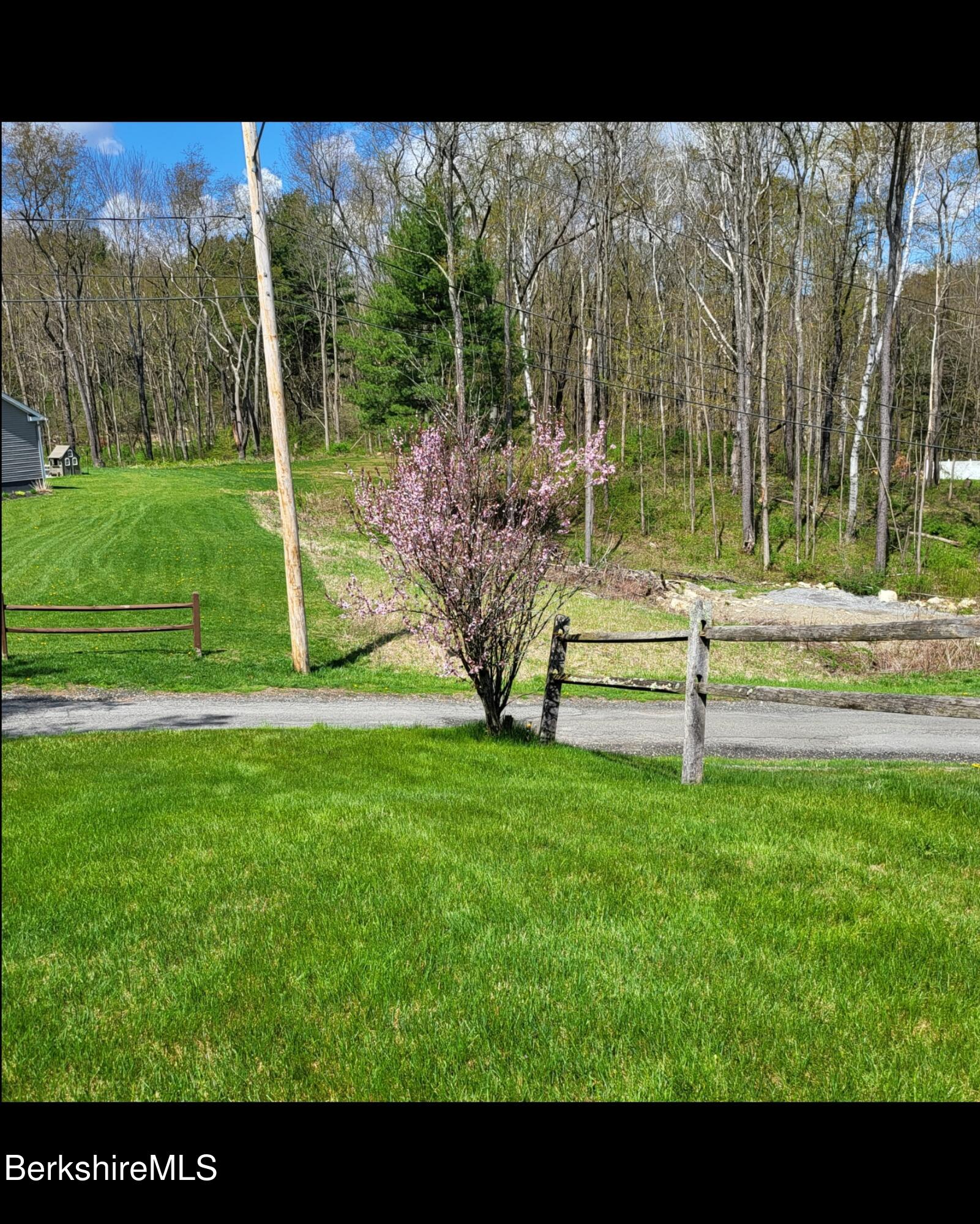 8 Samson Avenue Pittsfield, MA 01201 - Photo 52 of 55 a view of a park with a tree in a yard