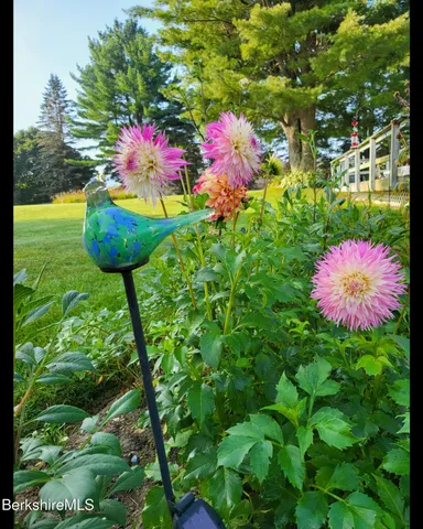 $325,000 | 8 Samson Avenue, Pittsfield, MA 01201