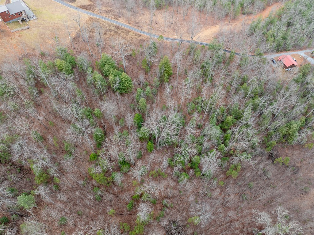 Lot 63 Lake Wood Road Murphy, NC 28906 - Photo 6 of 28
