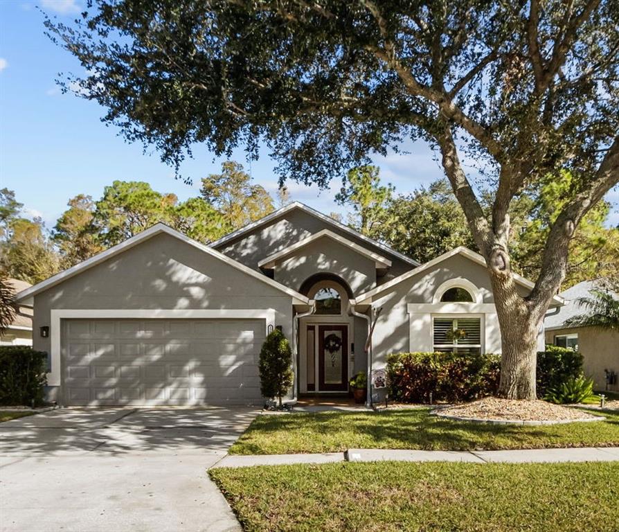 12531 Sparkleberry Road Tampa, FL 33626 - Photo 1 of 1 Gallery Image 1