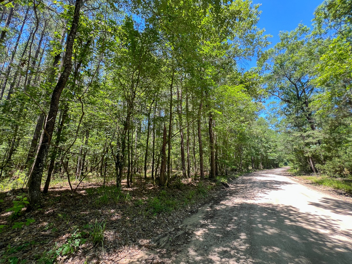 11 Howell Road Corrigan, TX 75939 - Photo 15 of 17