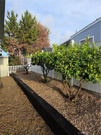 a view of a backyard with a tree