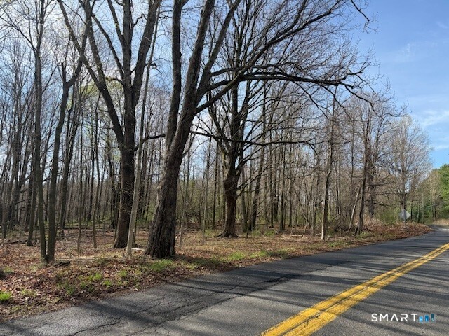 350 Deercliff Road Avon, CT 06001 - Photo 3 of 5