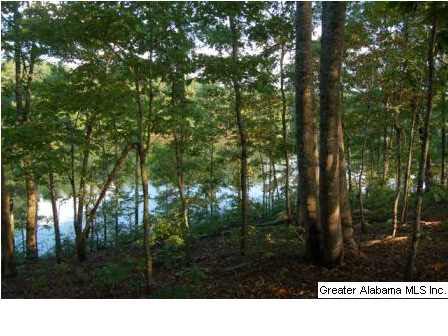 Lot 17 Sunset Ridge, Unit 17 Wedowee, AL 36278 - Photo 1 of 5