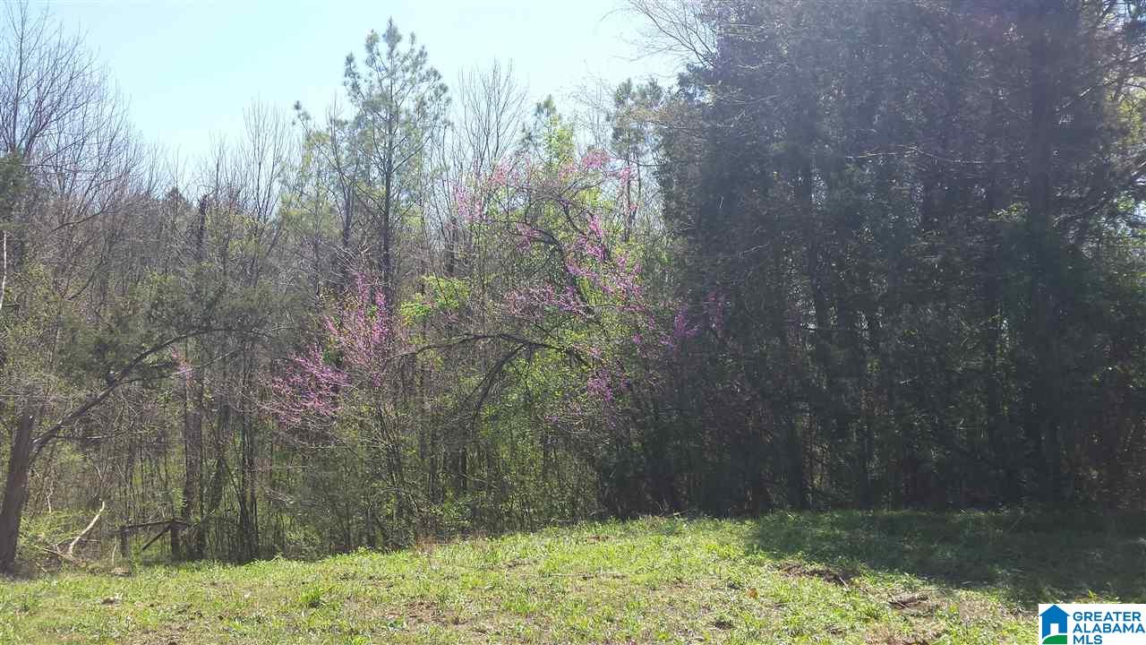 Double Bridge Road, Unit 16 Steele, AL 35987 - Photo 29 of 44