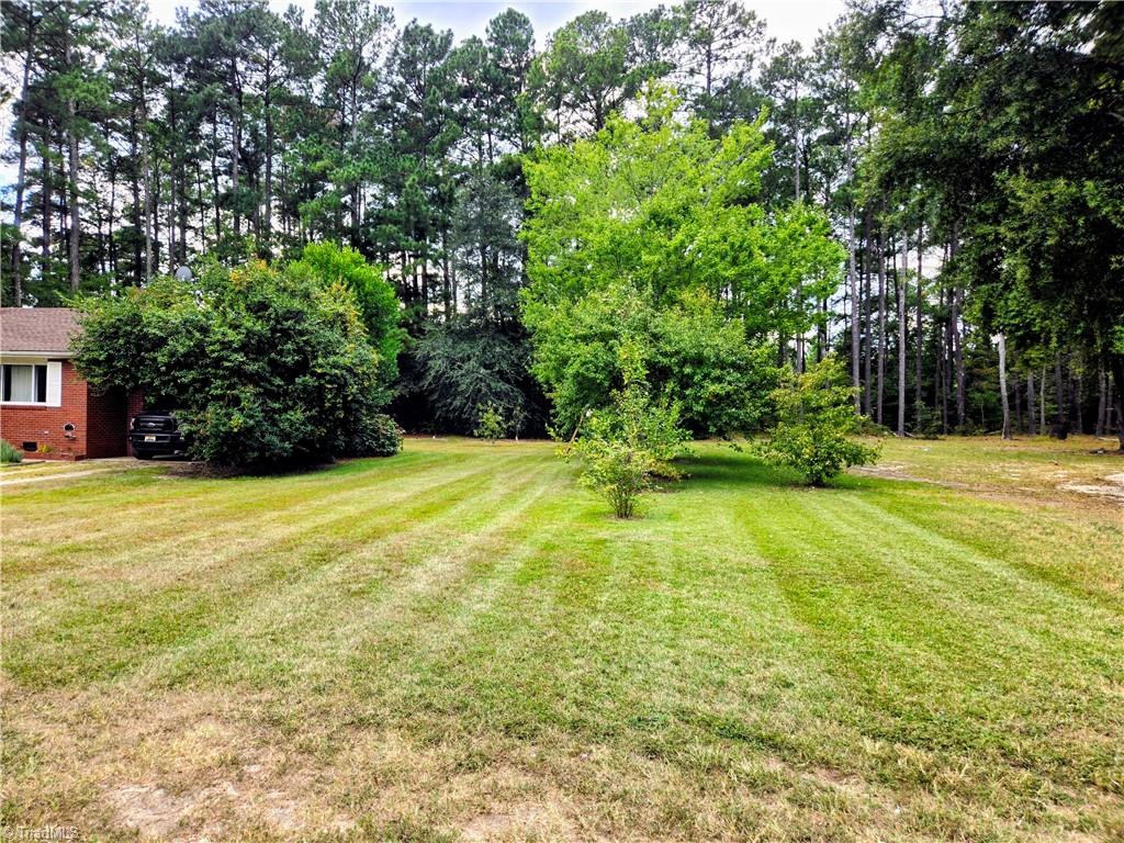 330 McCallum Street Candor, NC 27229 - Photo 5 of 16 Bonus lot!