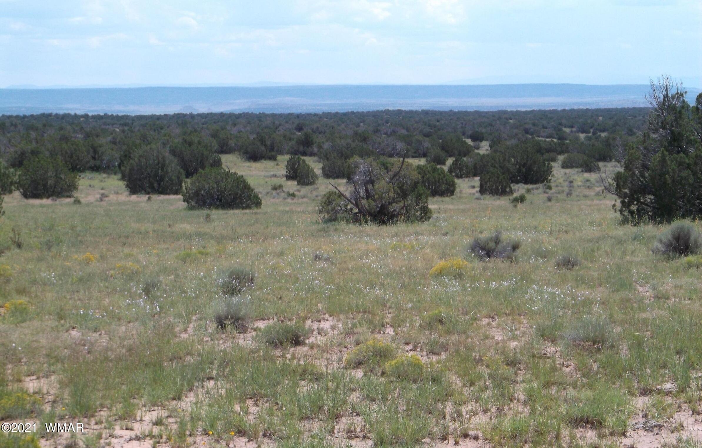 Lot 572 County Rd N6567 St. Johns, AZ 85936 - Photo 1 of 5