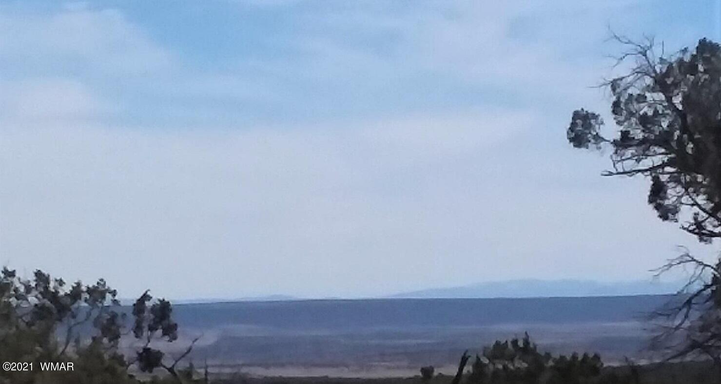 Lot 572 County Rd N6567 St. Johns, AZ 85936 - Photo 2 of 5