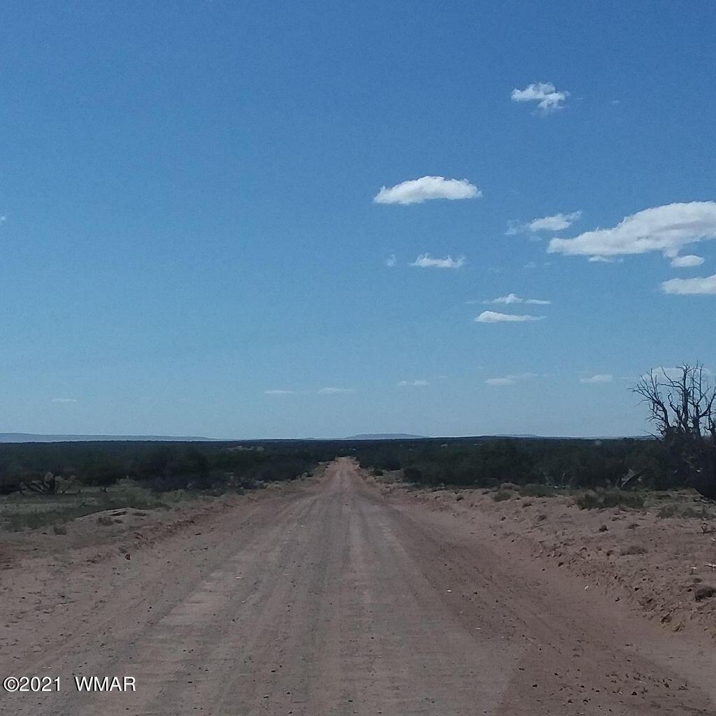 Lot 572 County Rd N6567 St. Johns, AZ 85936 - Photo 3 of 5
