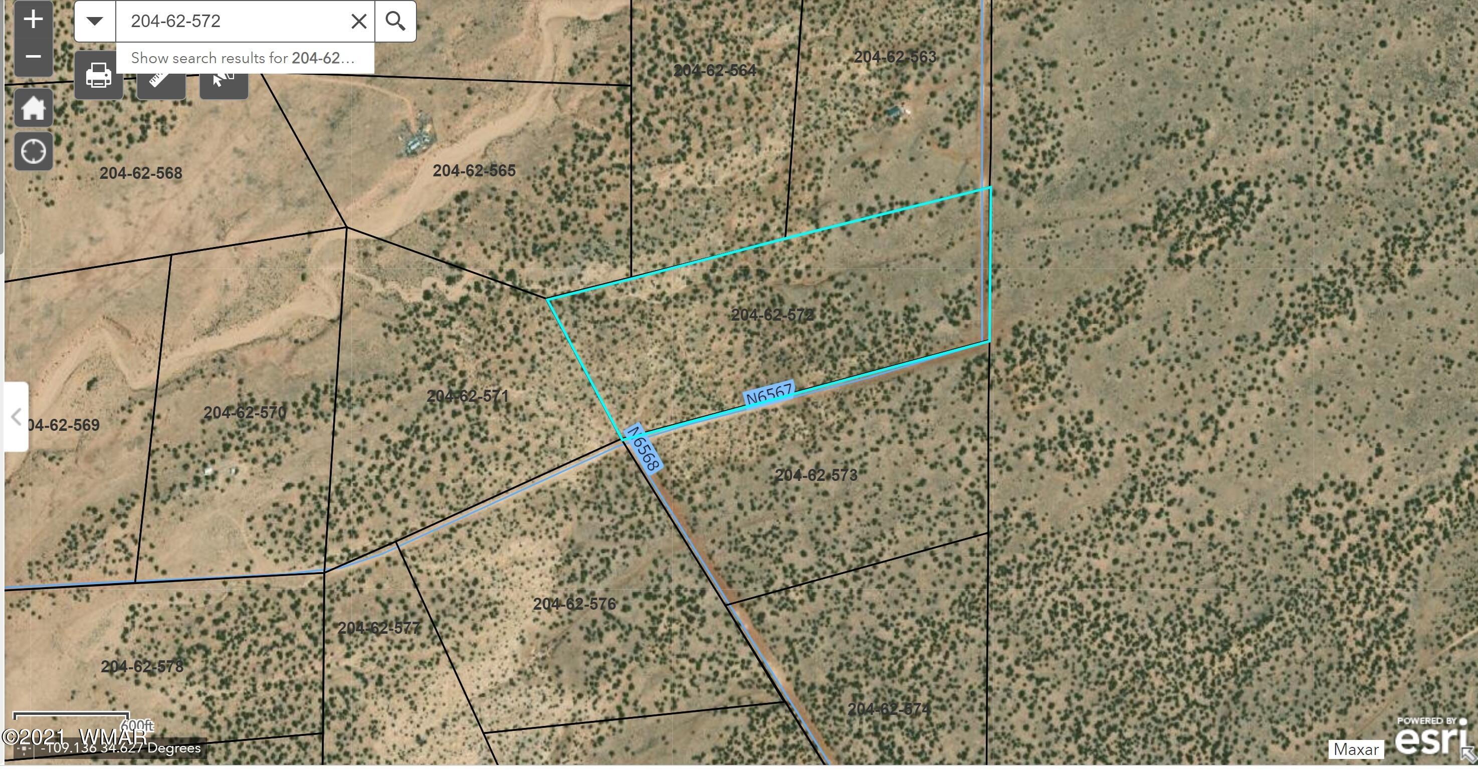 Lot 572 County Rd N6567 St. Johns, AZ 85936 - Photo 5 of 5
