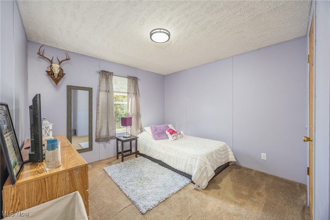 1788 Rosenbush Road Newport, OH 45768 - Photo 30 of 34 Carpeted bedroom with a textured ceiling
