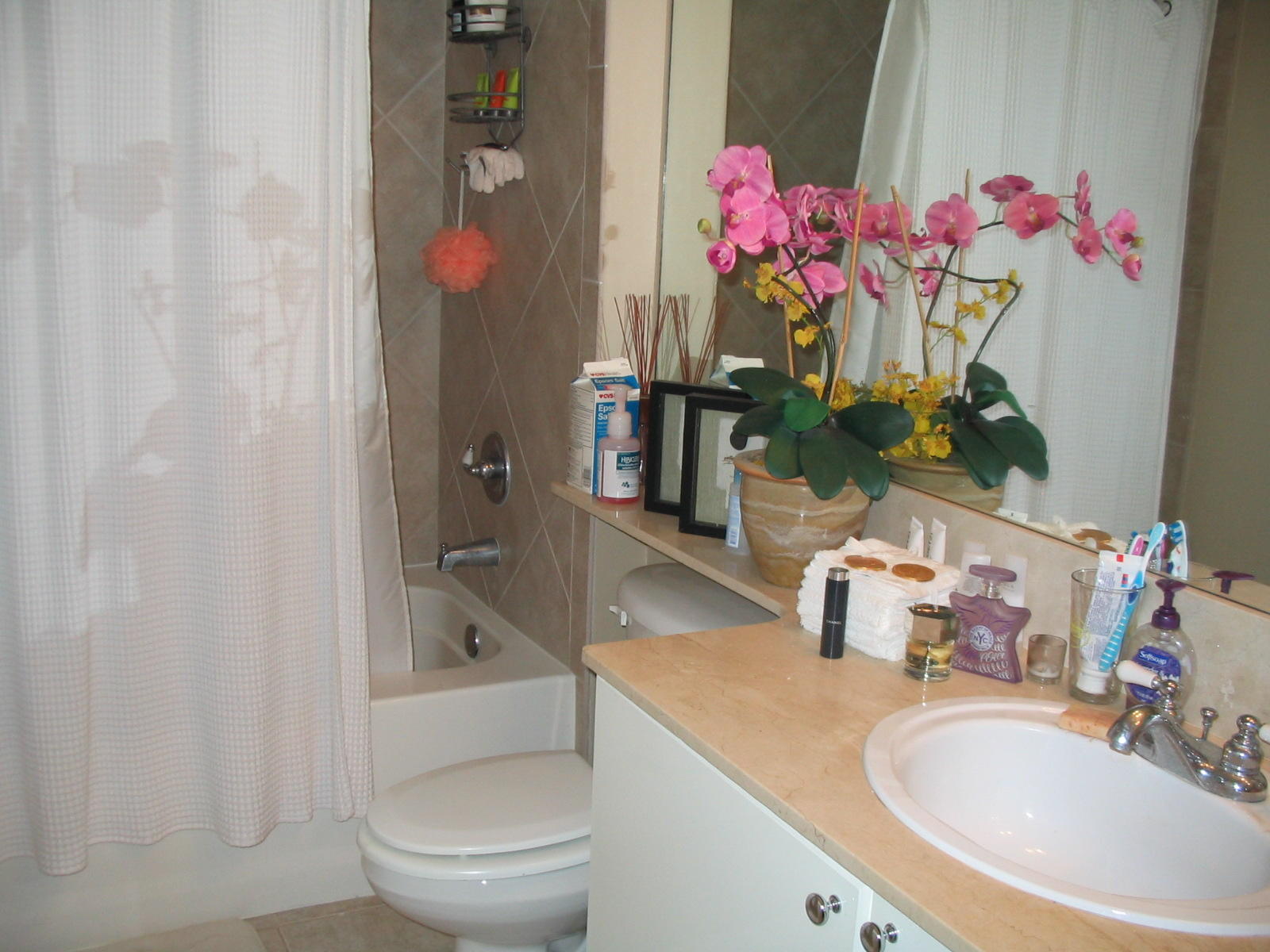 233 South Federal Highway, Unit 221 Boca Raton, FL 33432 - Photo 16 of 25 Master bath