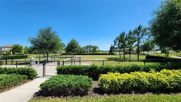 a view of a park with swings